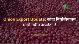 Onion Export Update: कांदा निर्यातीबाबत मोठी नवीन अपडेट...!