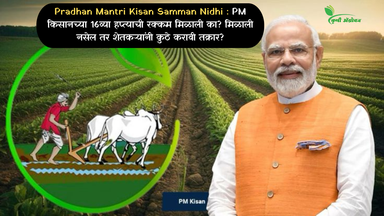 Pradhan Mantri Kisan Samman Nidhi : PM किसानच्या 16व्या हप्त्याची रक्कम मिळाली का? मिळाली नसेल तर शेतकऱ्यांनी कुठे करावी तक्रार?