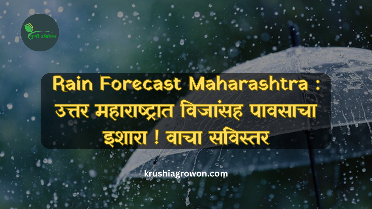 Rain Forecast Maharashtra : उत्तर महाराष्ट्रात विजांसह पावसाचा इशारा ! वाचा सविस्तर