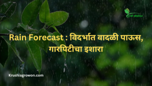 Rain Forecast : विदर्भात वादळी पाऊस, गारपिटीचा इशारा
